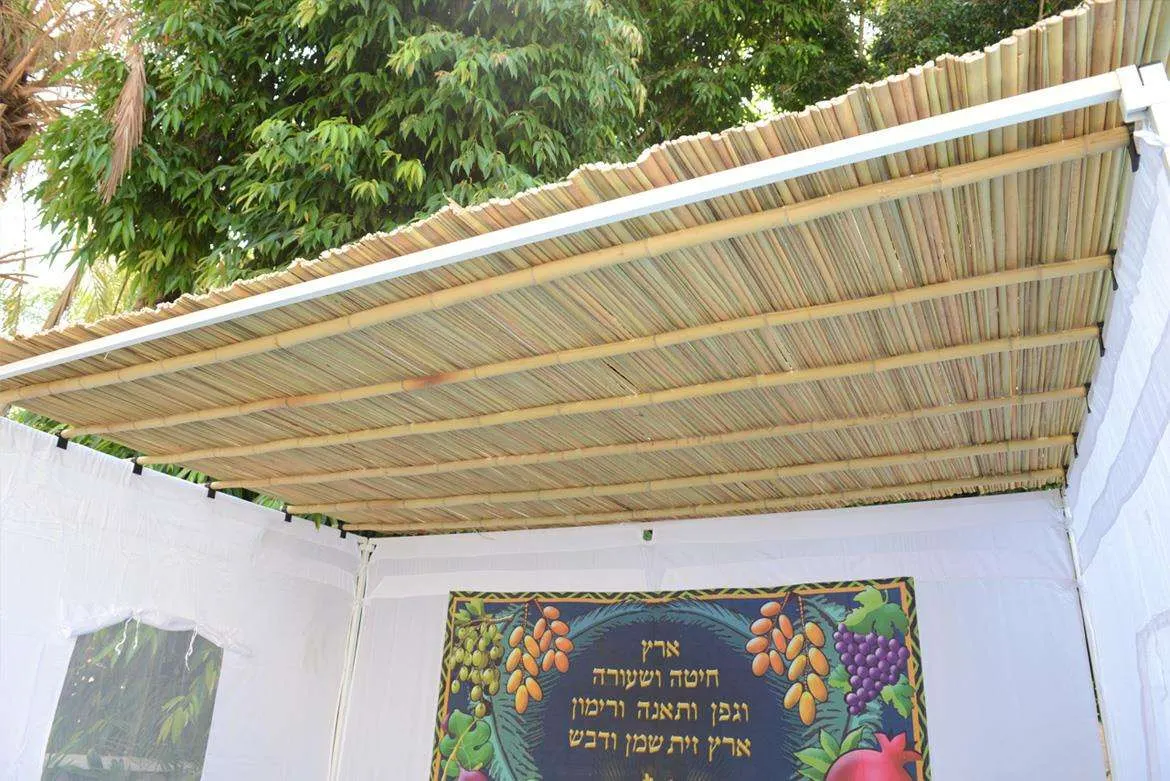 סכך קנים איכותי